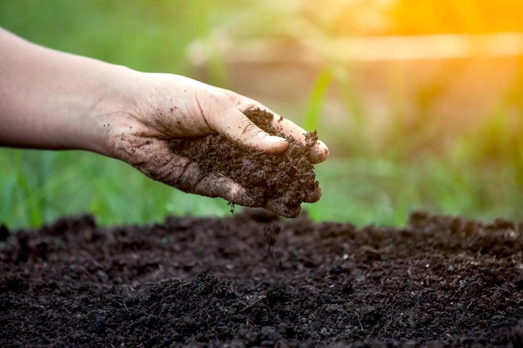 Abonos y fertilizantes en Pontevedra