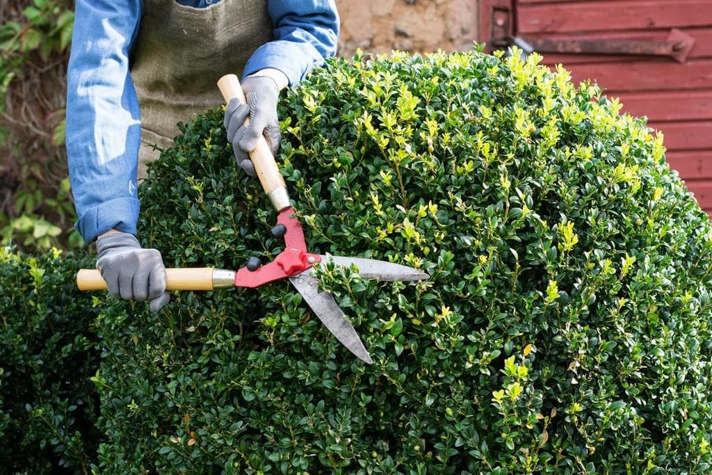 Productos de jardinería en Pontevedra